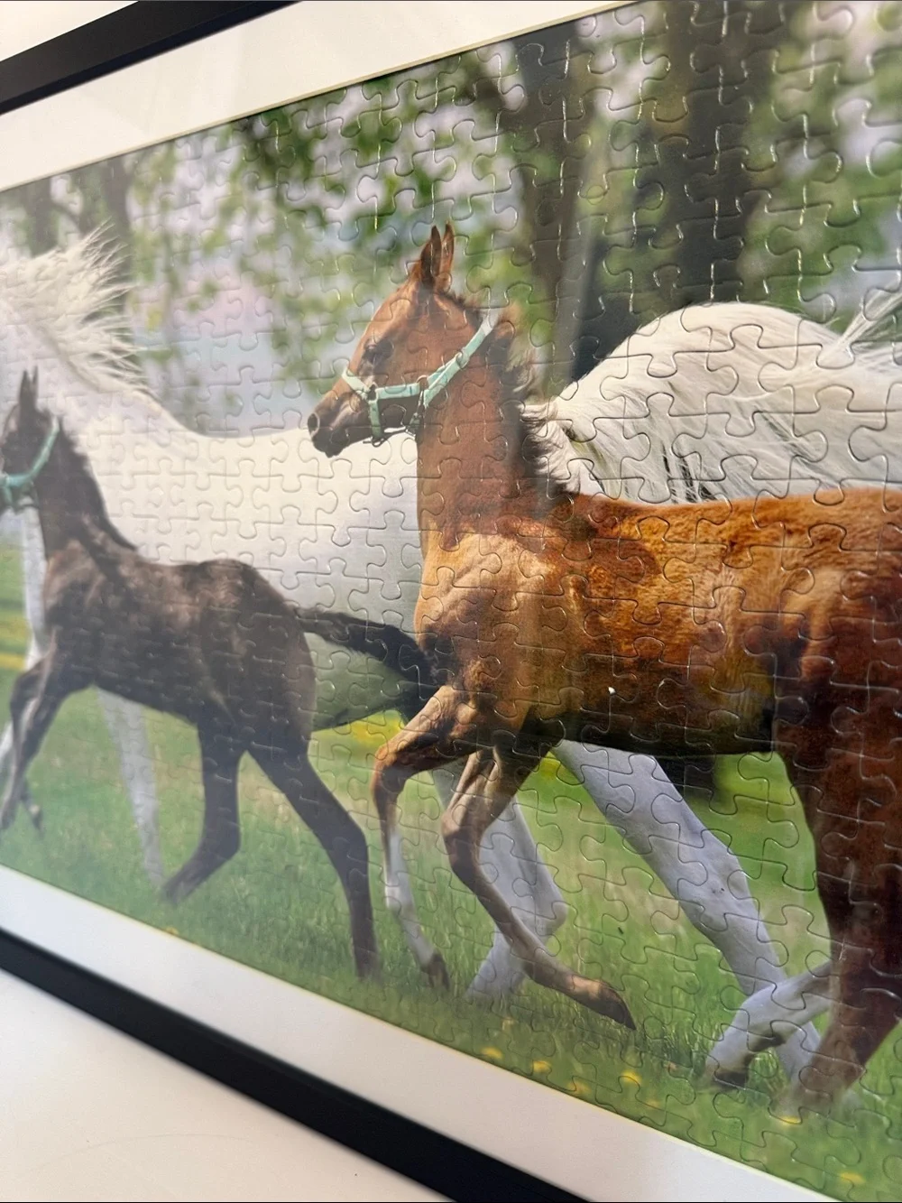 Framed Horse Puzzle Wall Art - Black Frame, White Mat